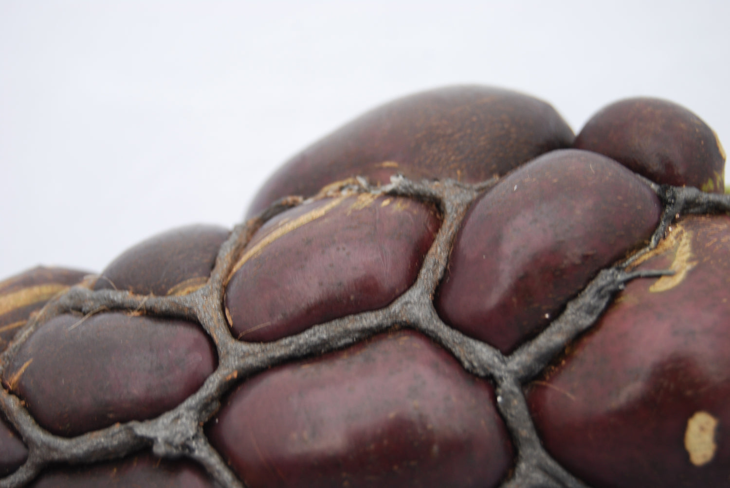 Vegetable jewellery: Aubergine