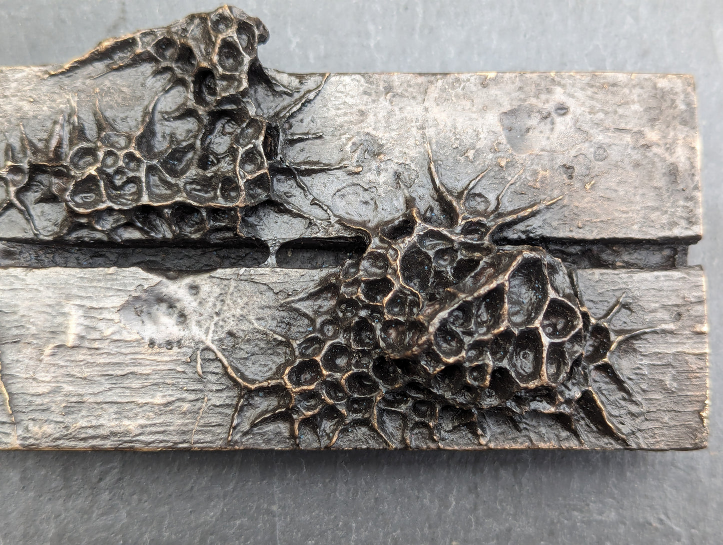 10 years. Bronze.-sculpture (wall)-Beca Beeby