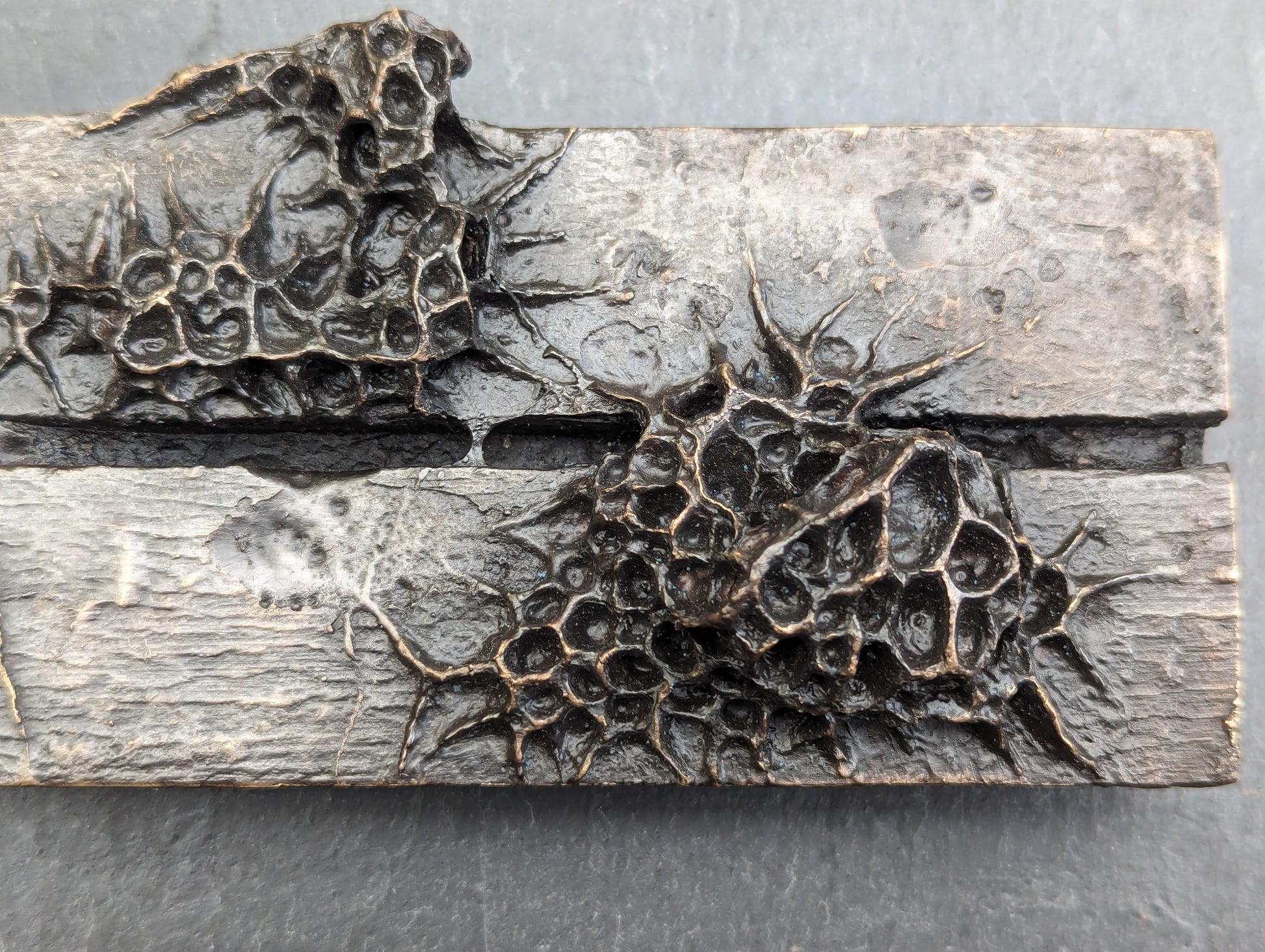 10 years. Bronze.-sculpture (wall)-Beca Beeby