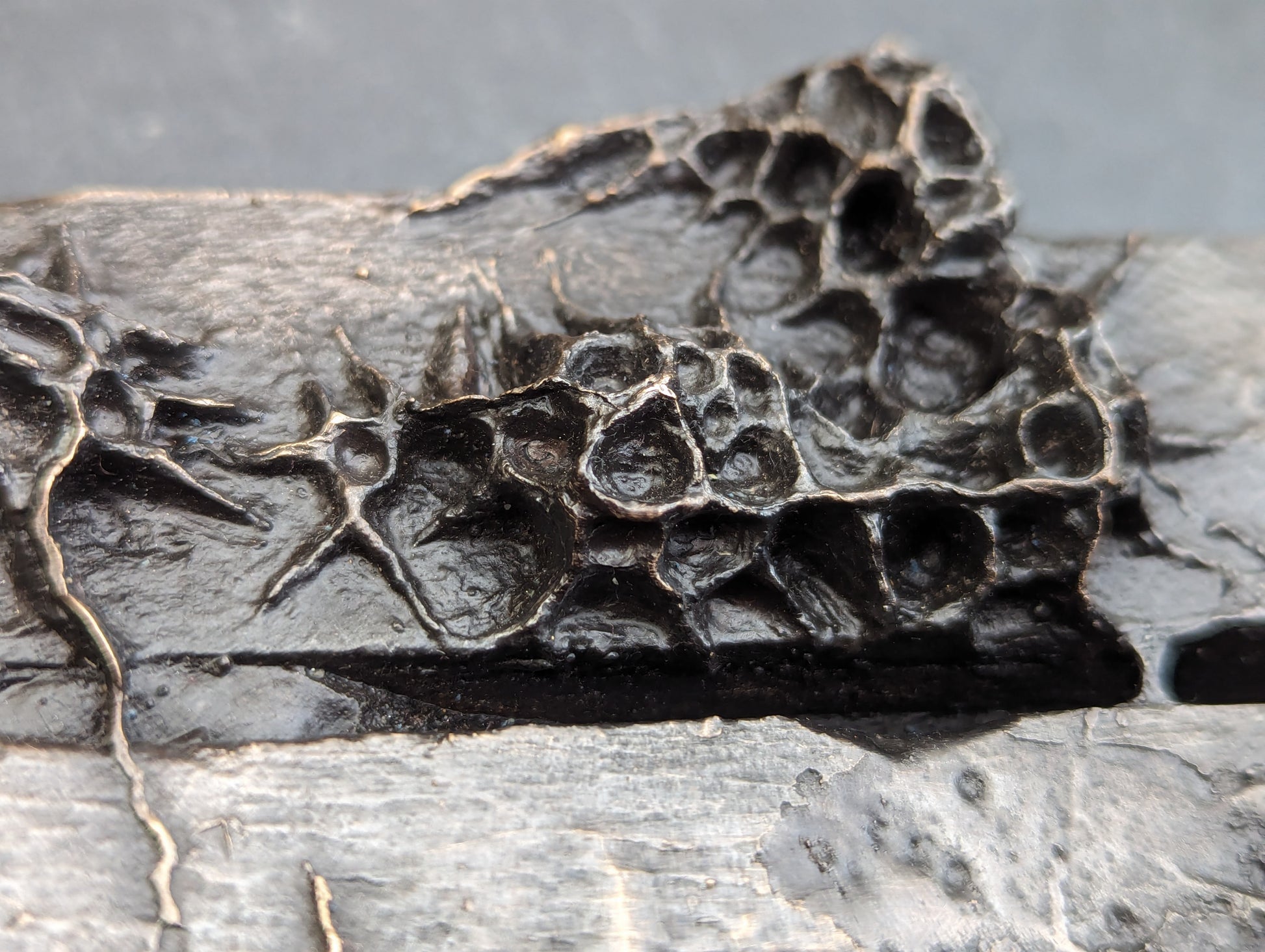 10 years. Bronze.-sculpture (wall)-Beca Beeby