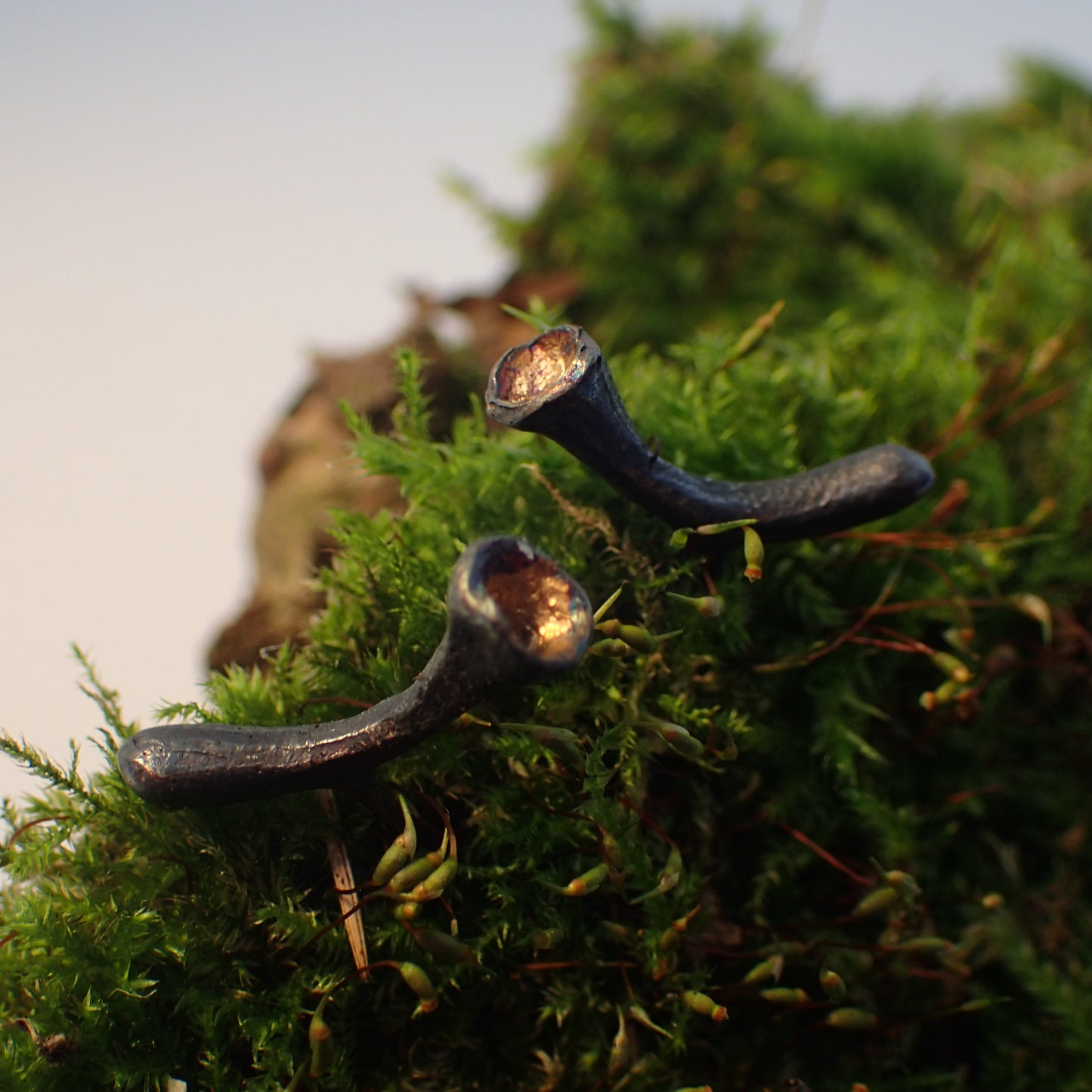 Pixie Cup Lichen Stud Earrings-Beca Beeby