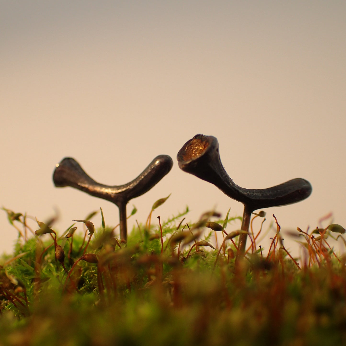 Pixie Cup Lichen Stud Earrings-Beca Beeby