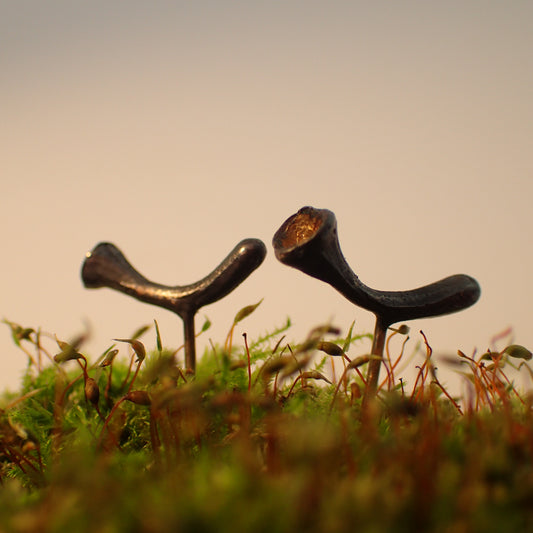Pixie Cup Lichen Stud Earrings-Beca Beeby