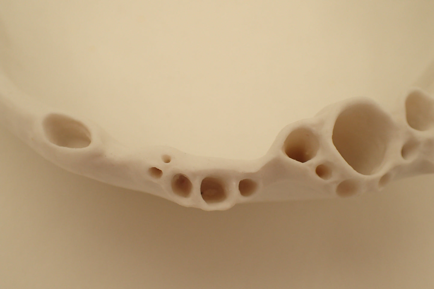 Porcelain Morphogenetic Bowl. Large-Ceramics-Beca Beeby