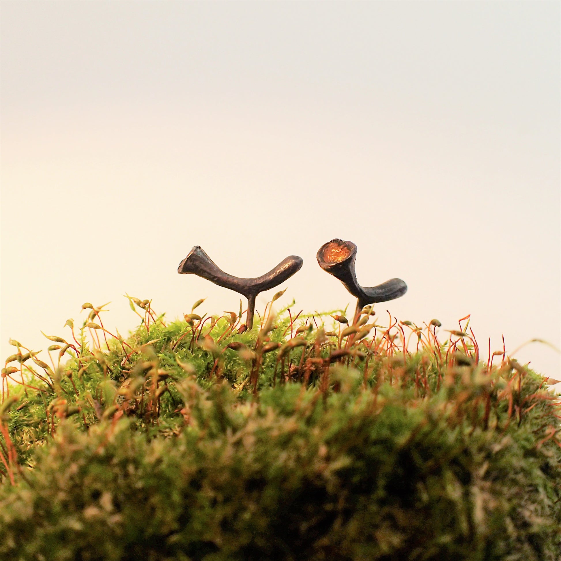 Pixie Cup Lichen Stud Earrings-Beca Beeby