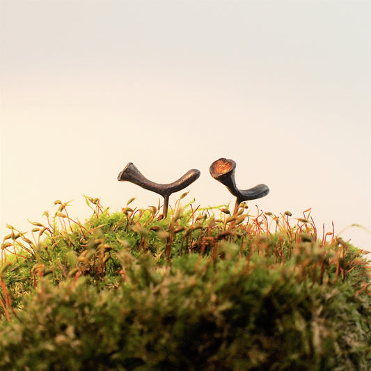 Pixie Cup Lichen Stud Earrings-Beca Beeby