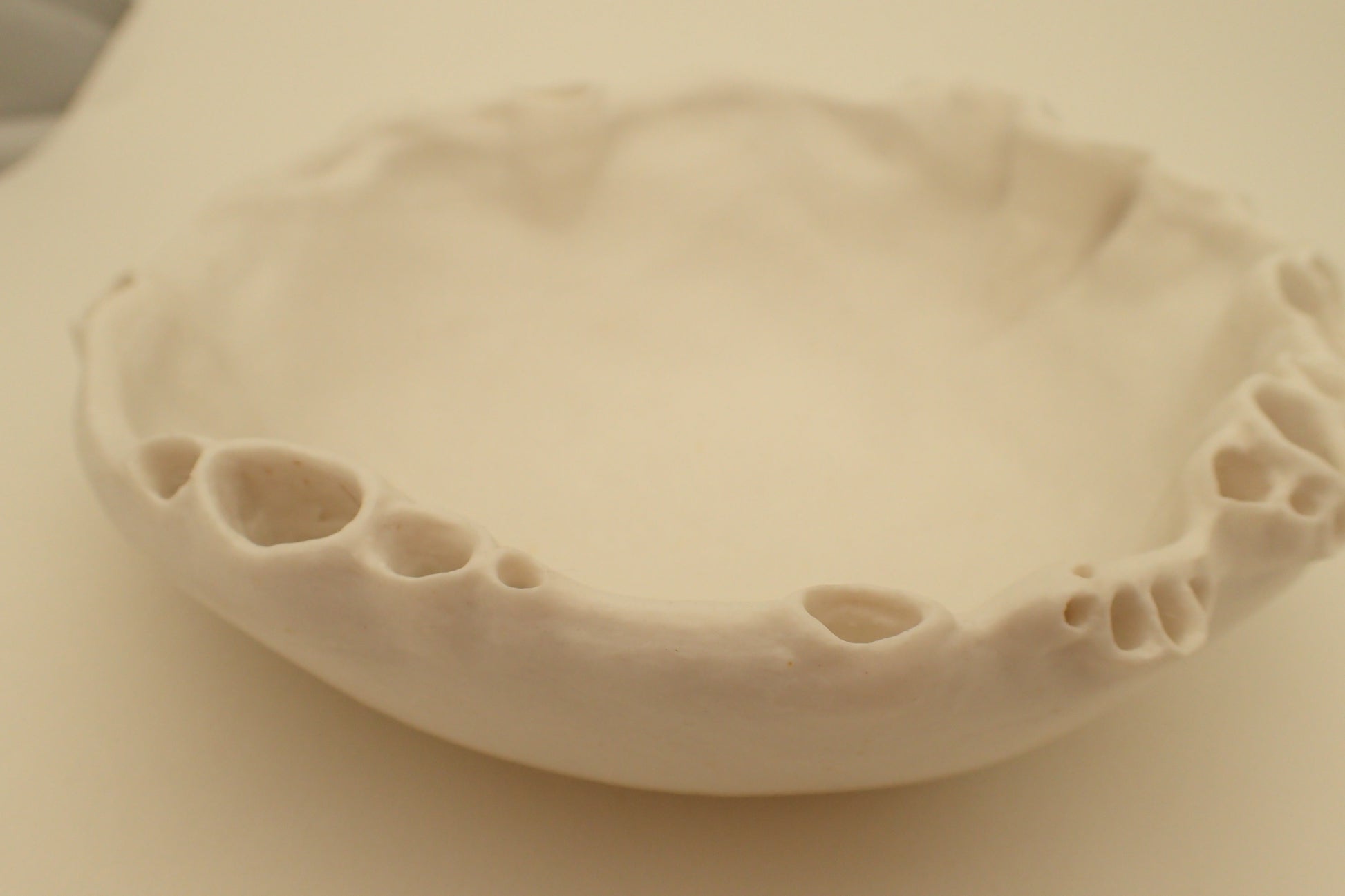 Porcelain Morphogenetic Bowl. Medium.-Ceramics-Beca Beeby