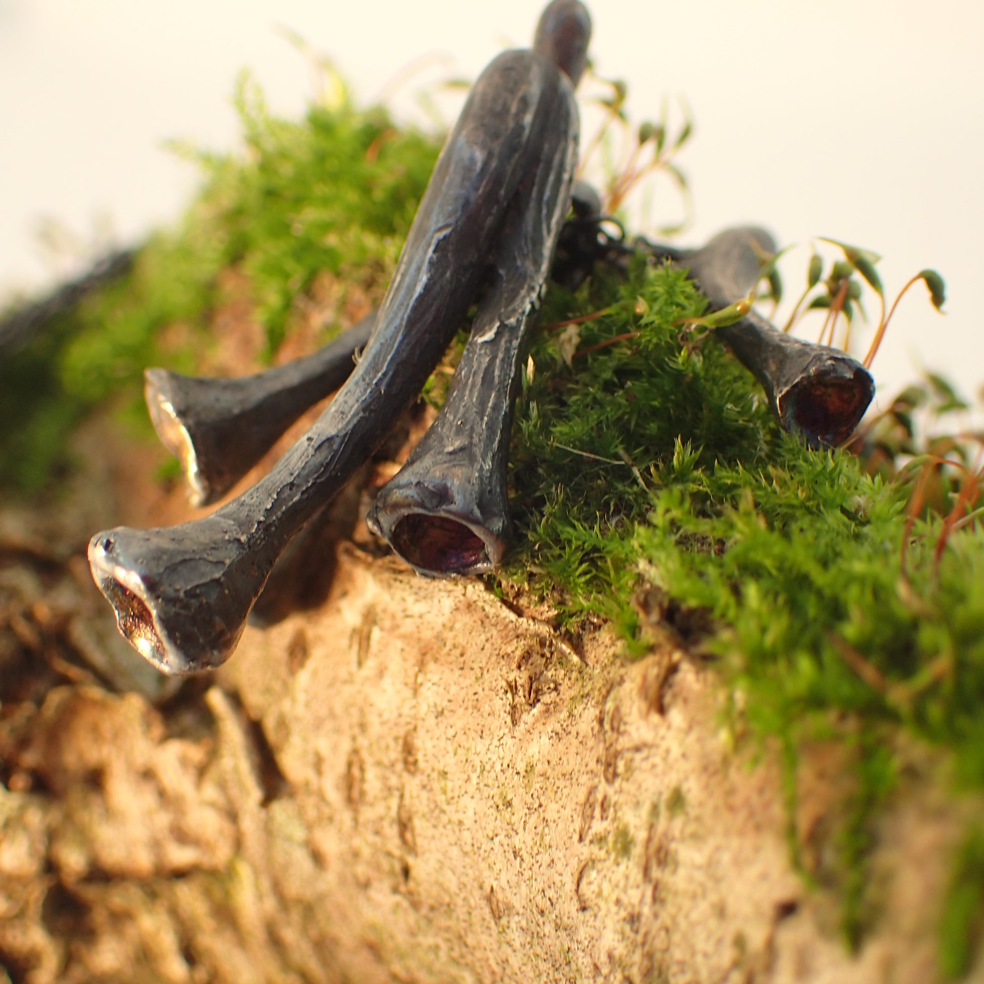 Pixie Cup Lichen necklace-Beca Beeby
